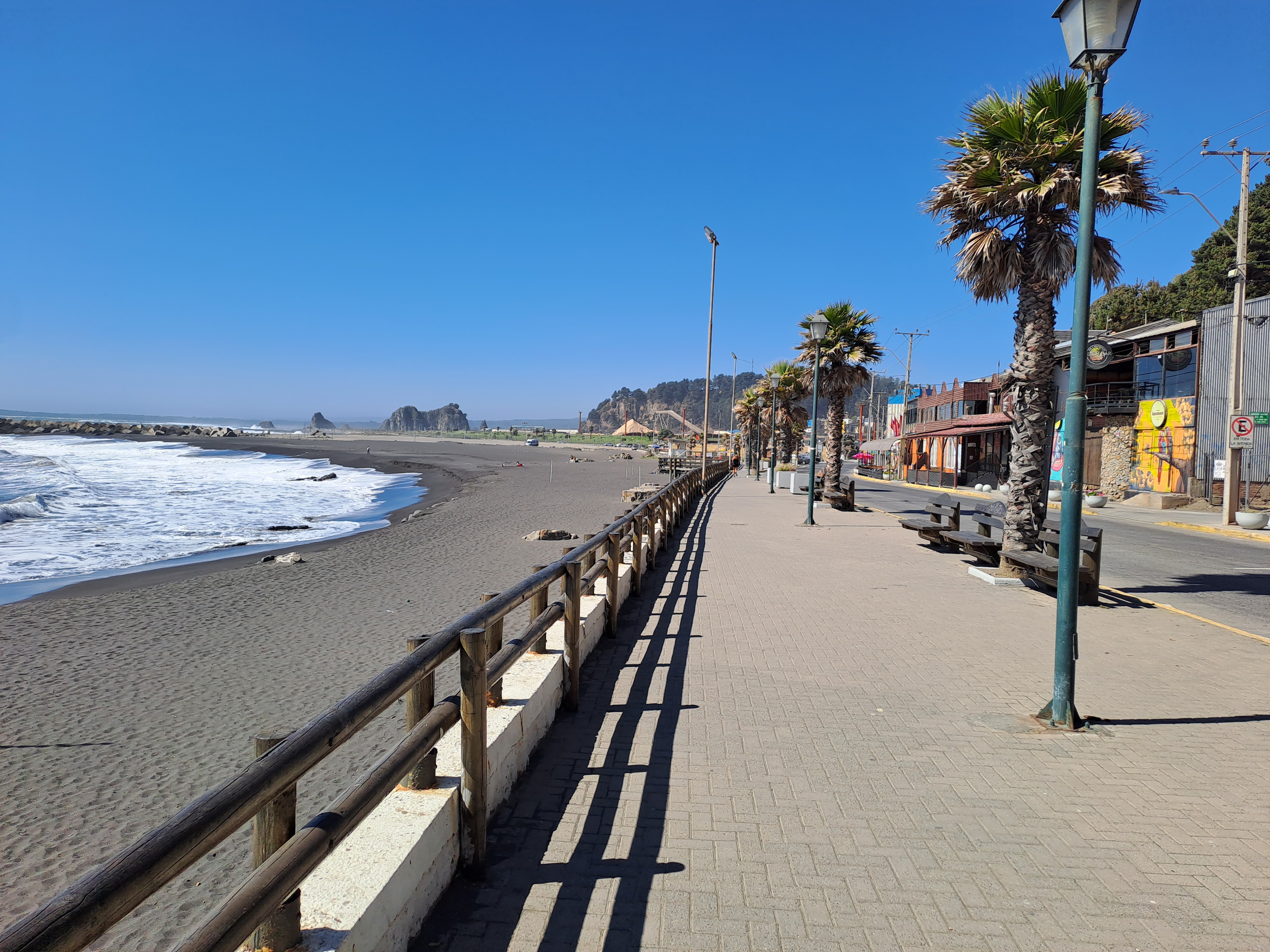 Fotografía del borde costero, se aprecian palmeras al costado derecho y a la izquierda la playa.